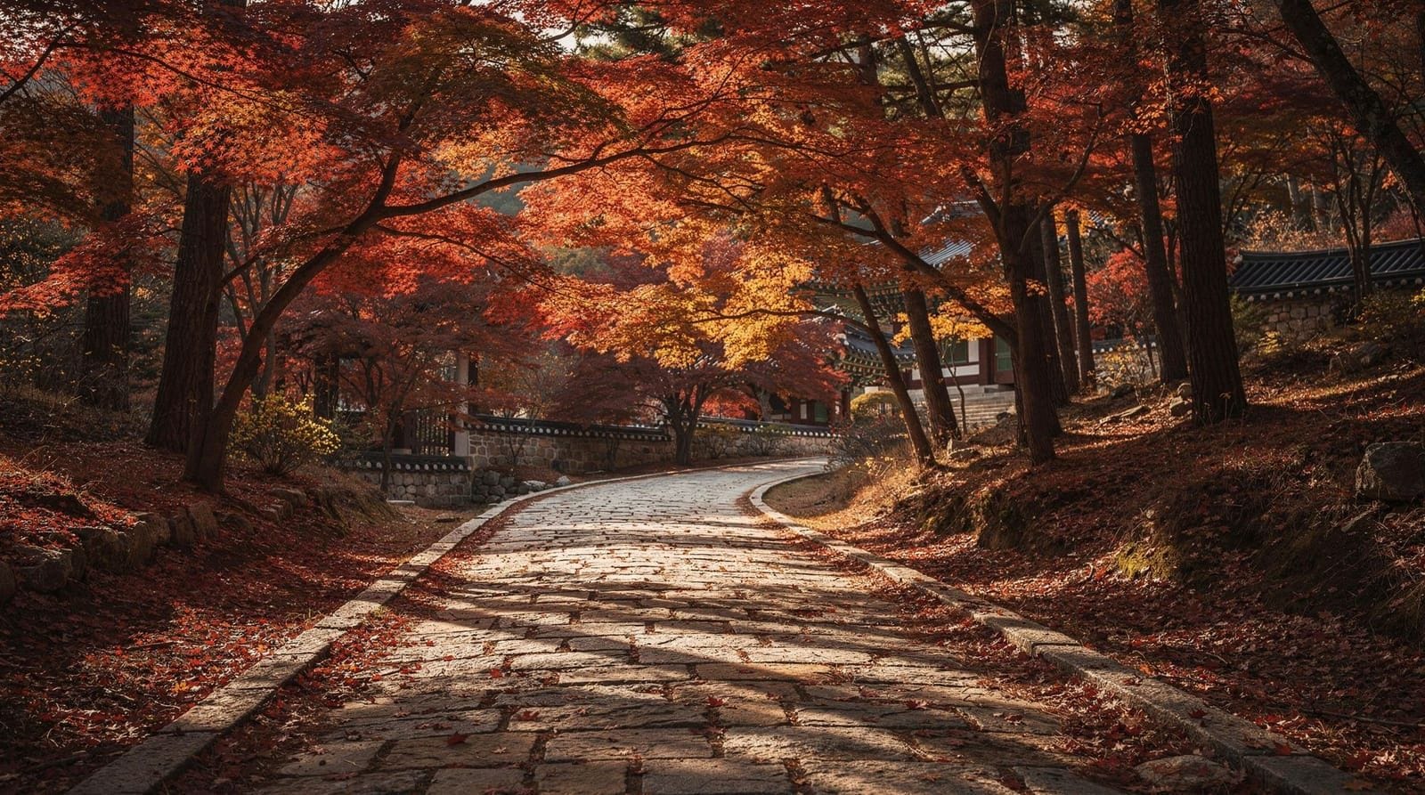 Why Autumn 2026 Is the Best Time to Visit Busan