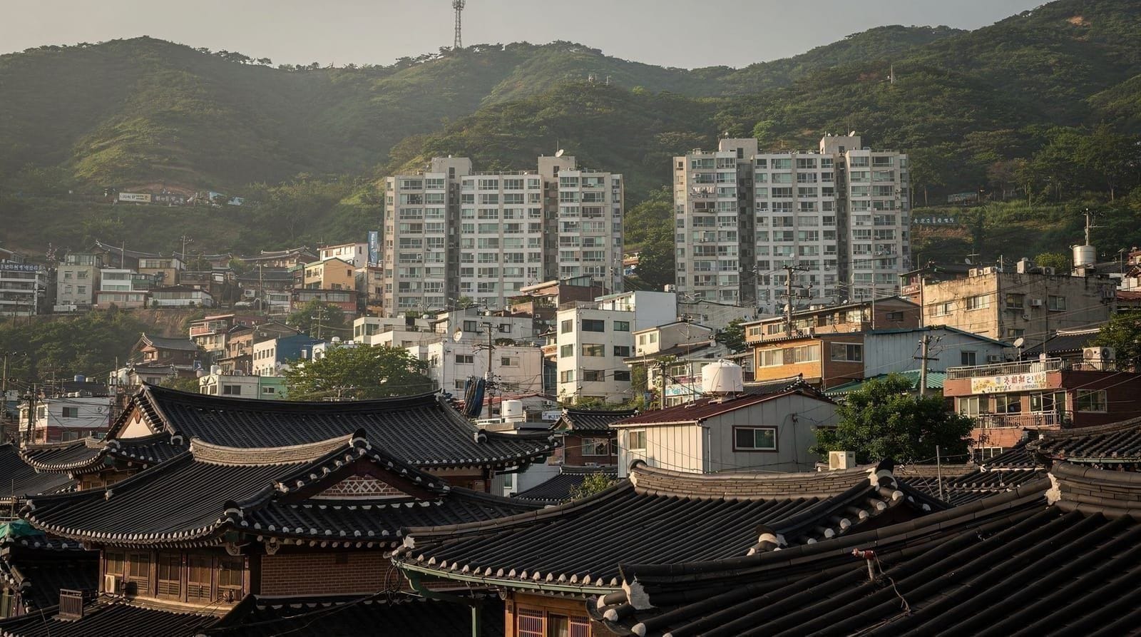 Busan vs. Seoul vs. Gyeongju vs. Jeju: Honest Comparison