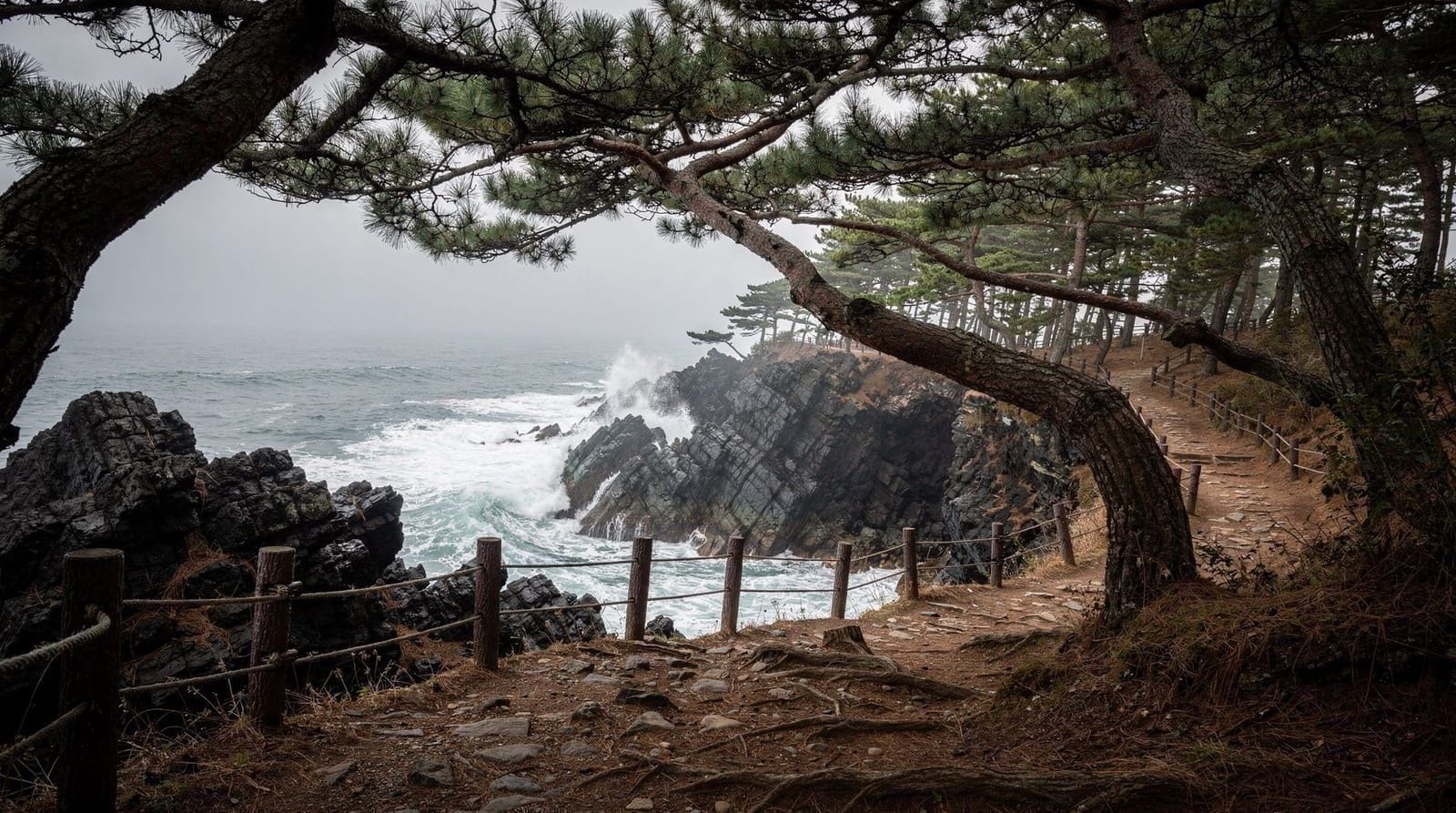 Ulsan day trip from Busan: Daewangam, whale culture, and Taehwagang