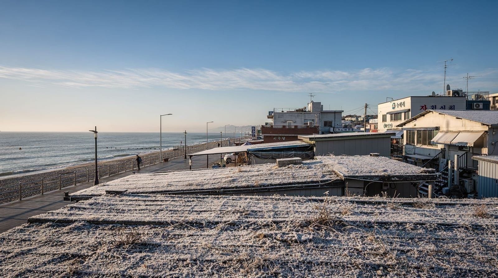 Busan in winter: what to expect and why it's worth visiting