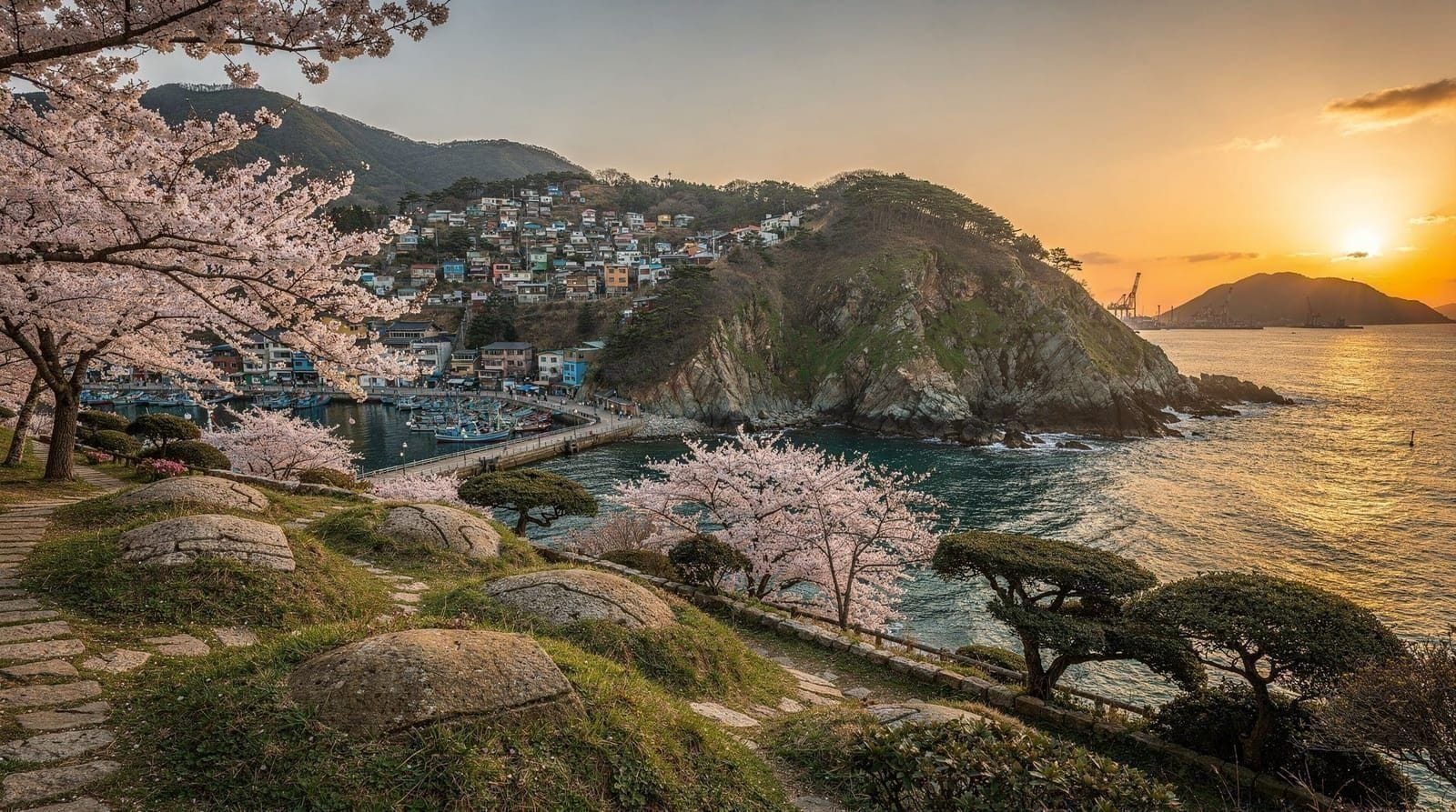7 days in Busan